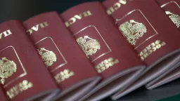 Российского гражданства начали лишать за «антироссийские настроения»